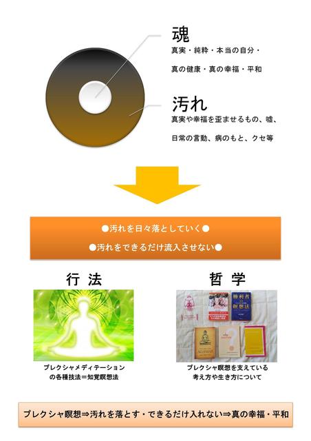 〈簡略〉プレクシャ瞑想説明.jpg